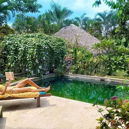 Casa Picaflor Bed and Breakfast Las Terrenas Eksteriør billede