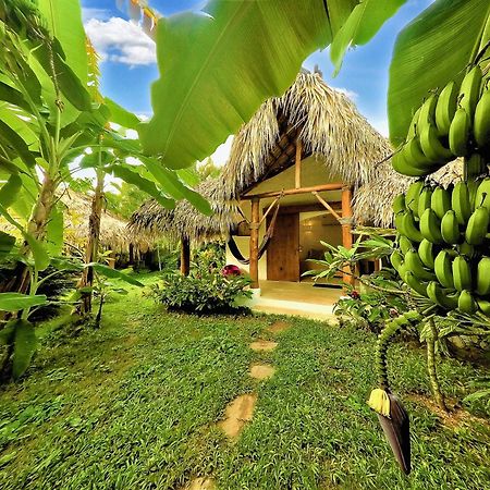 Casa Picaflor Bed and Breakfast Las Terrenas Eksteriør billede