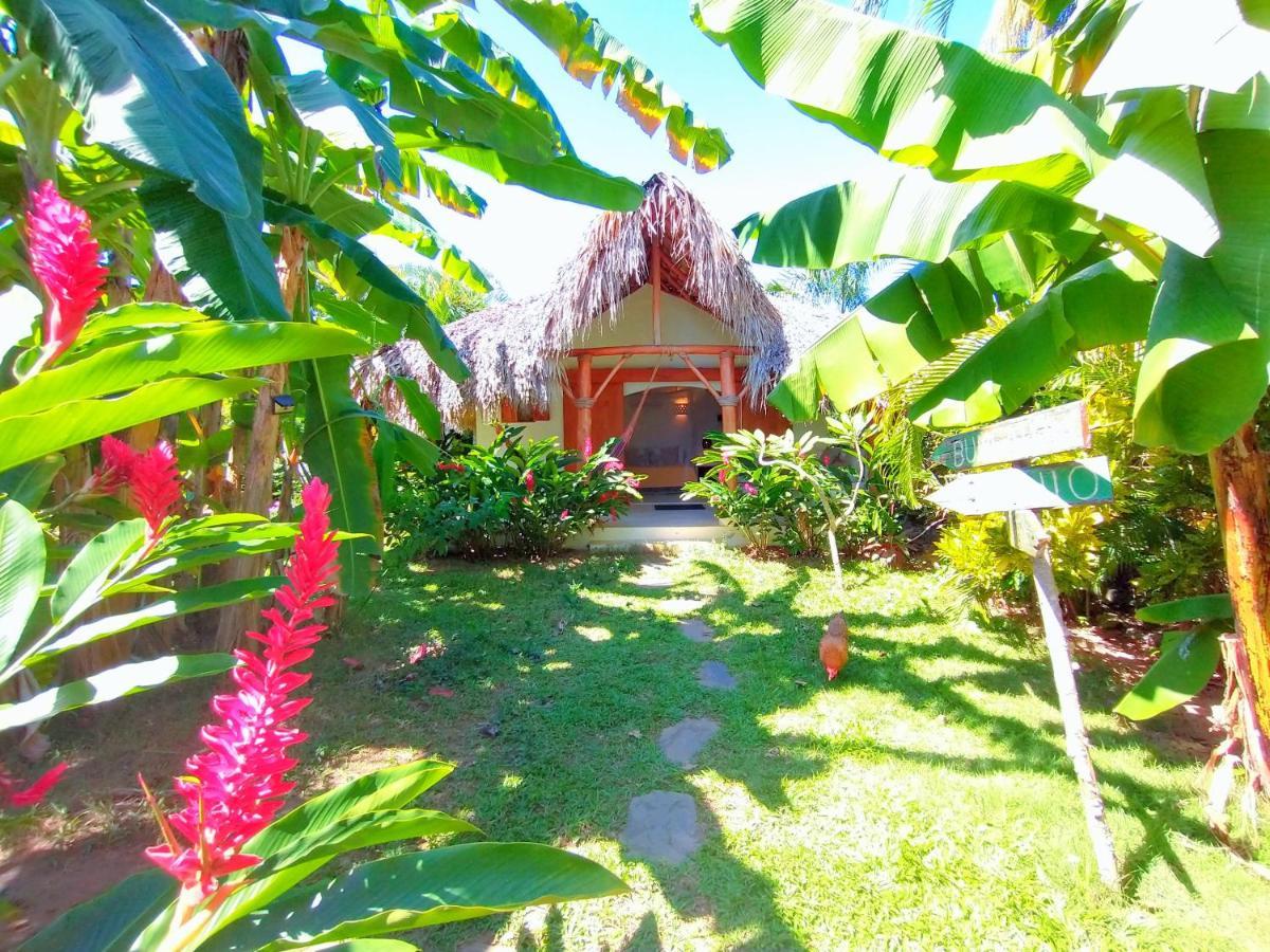 Casa Picaflor Bed and Breakfast Las Terrenas Eksteriør billede