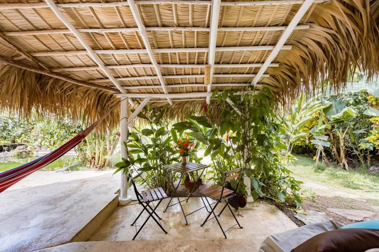 Casa Picaflor Bed and Breakfast Las Terrenas Eksteriør billede