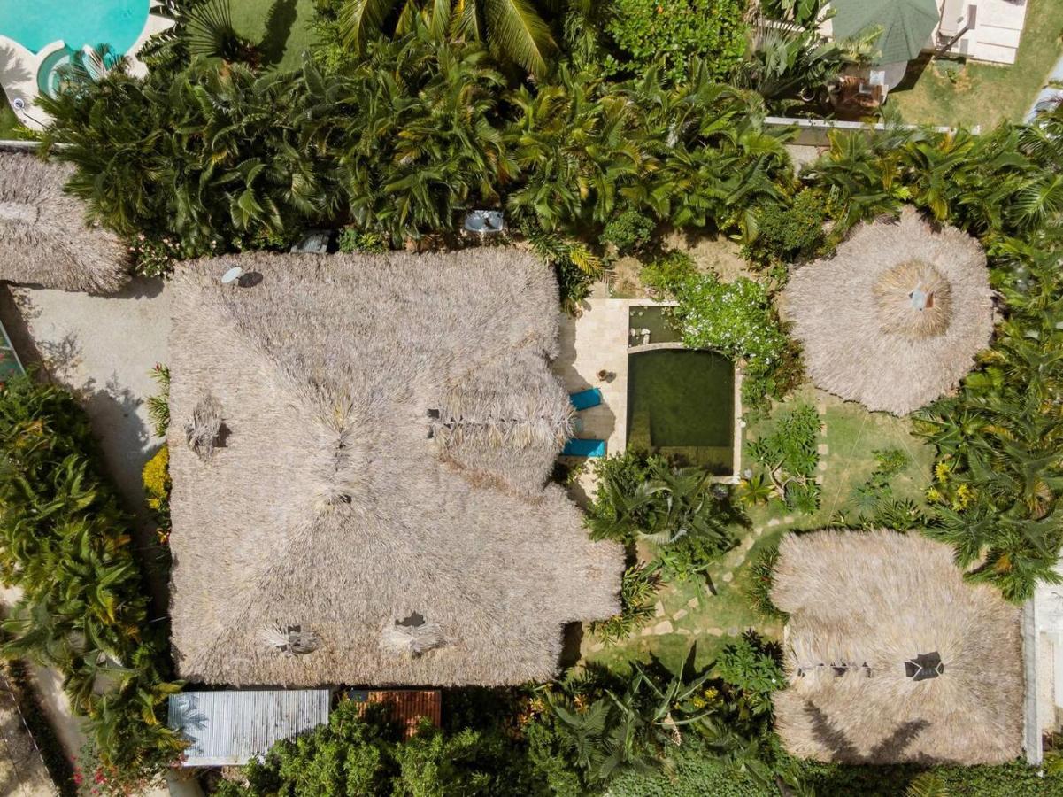 Casa Picaflor Bed and Breakfast Las Terrenas Eksteriør billede