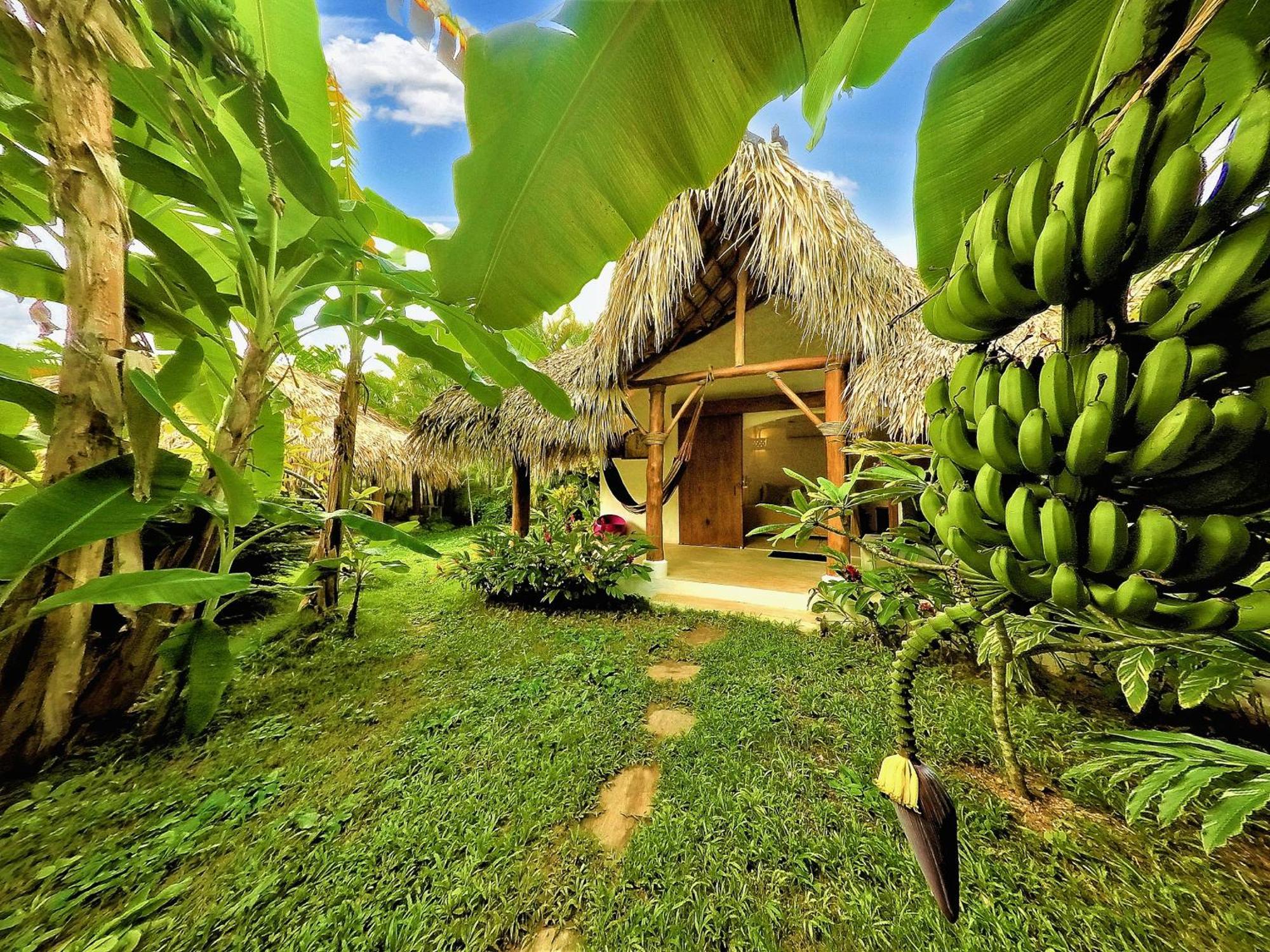 Casa Picaflor Bed and Breakfast Las Terrenas Eksteriør billede